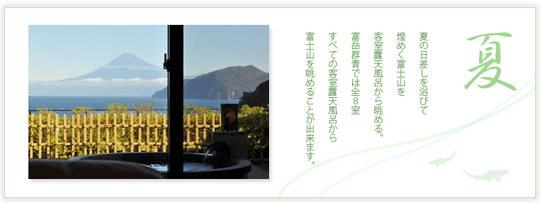 富岳群青より望む夏の富士山