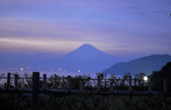 富岳群青からの富士山