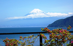 富岳群青からの富士山