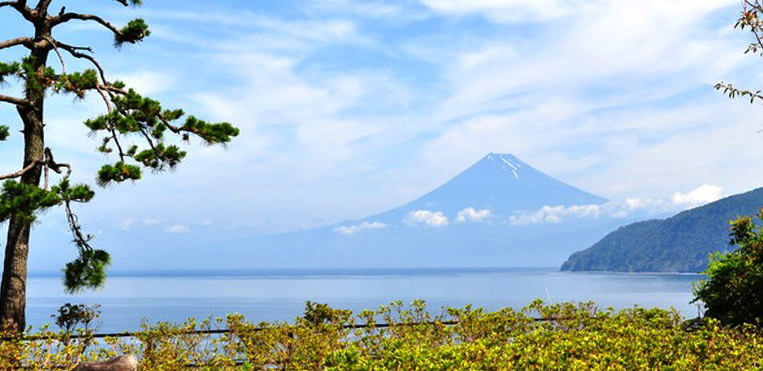 世界遺産 富士山│【公式HP】 西伊豆 世界遺産 富士山を望む宿